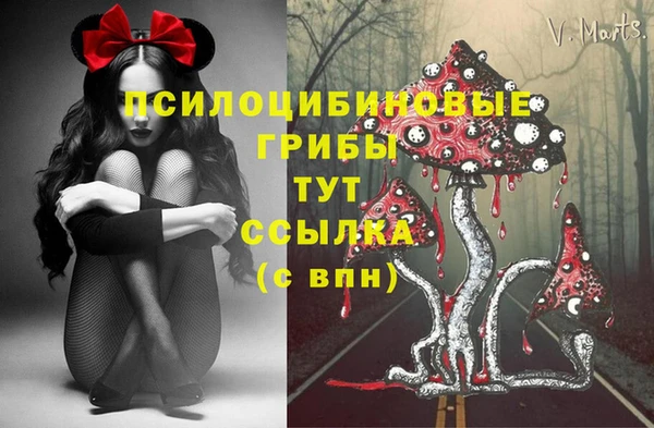 спиды Аркадак