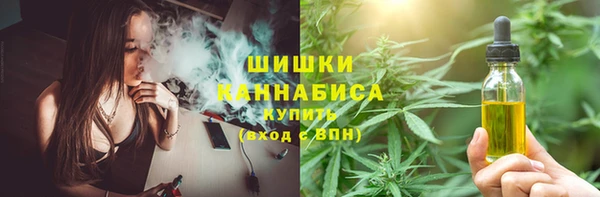 спиды Аркадак