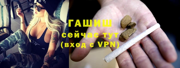 хмурый Арсеньев