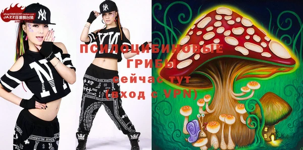 хмурый Арсеньев