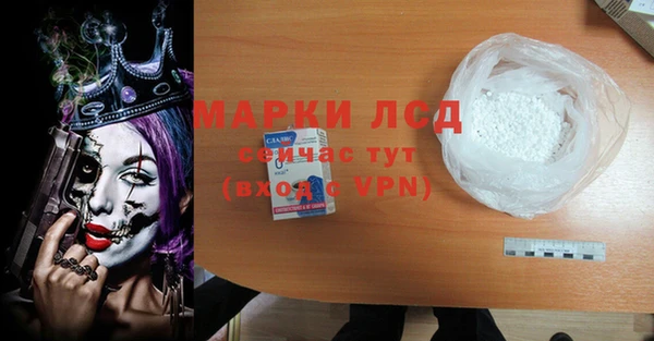 спиды Аркадак