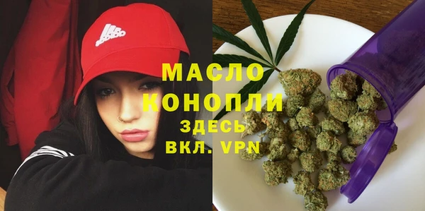 хмурый Арсеньев